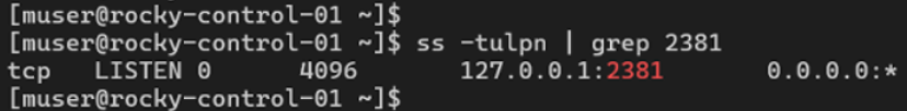 ss shows 127