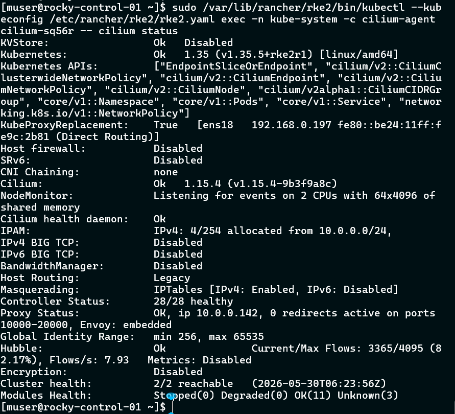 Cilium Status Diagnostic Capture